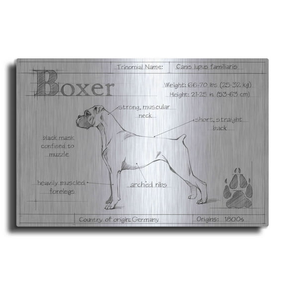 Luxe Metal Art 'Inverted Blueprint Boxer' by Ethan Harper, Metal Wall Art, 24"x16"