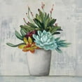 thumbnail image 2 of Purinton, Julia 20x20 White Modern Wood Framed Museum Art Print Titled - Succulent Still Life I, 2 of 4