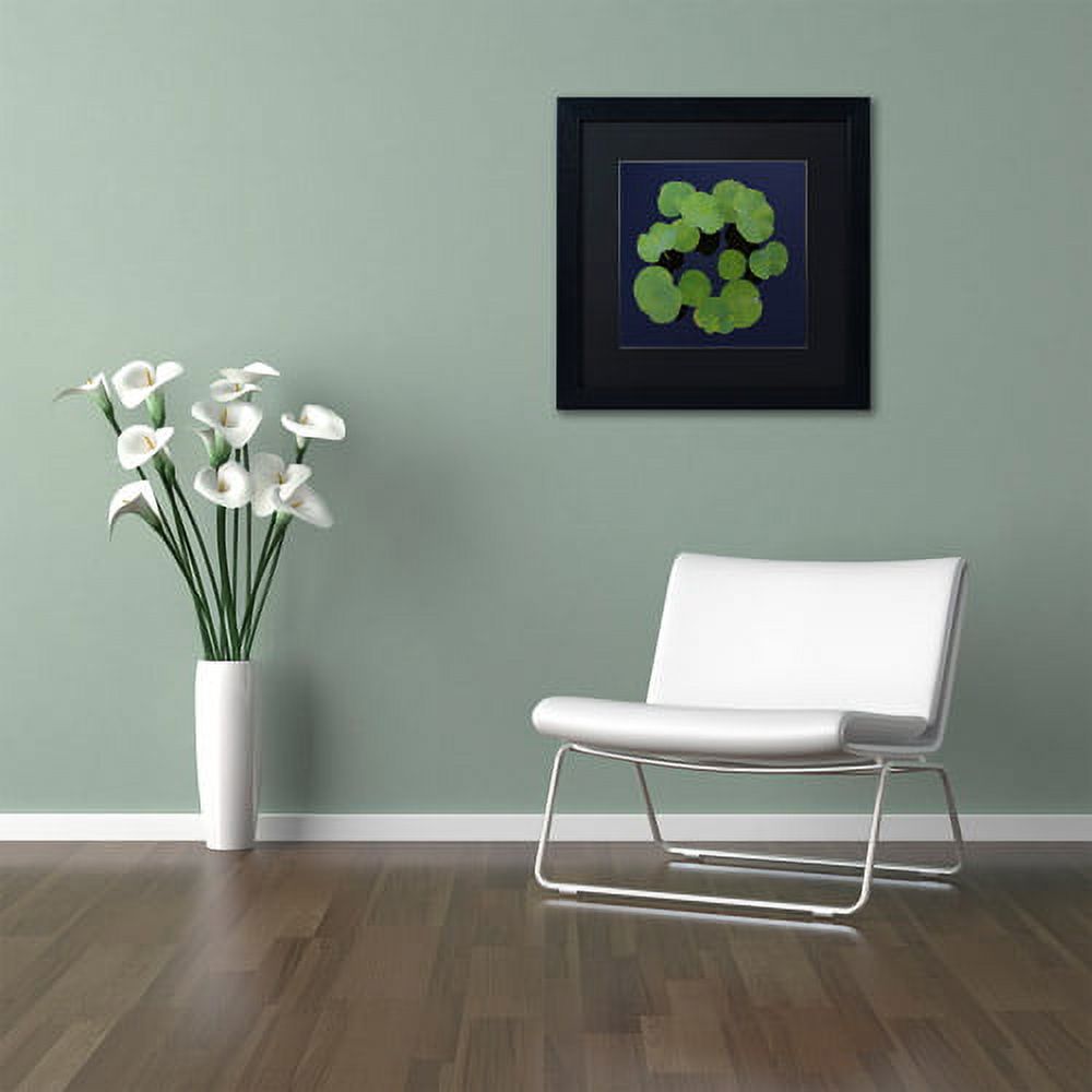 Trademark Fine Art "Giant Lily Pad Abstract" Canvas Art by Kurt Shaffer Black Matte, Black Frame