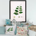 thumbnail image 3 of Designart 'Ancient Plant Life XVI' Farmhouse Framed Art Print, 3 of 4