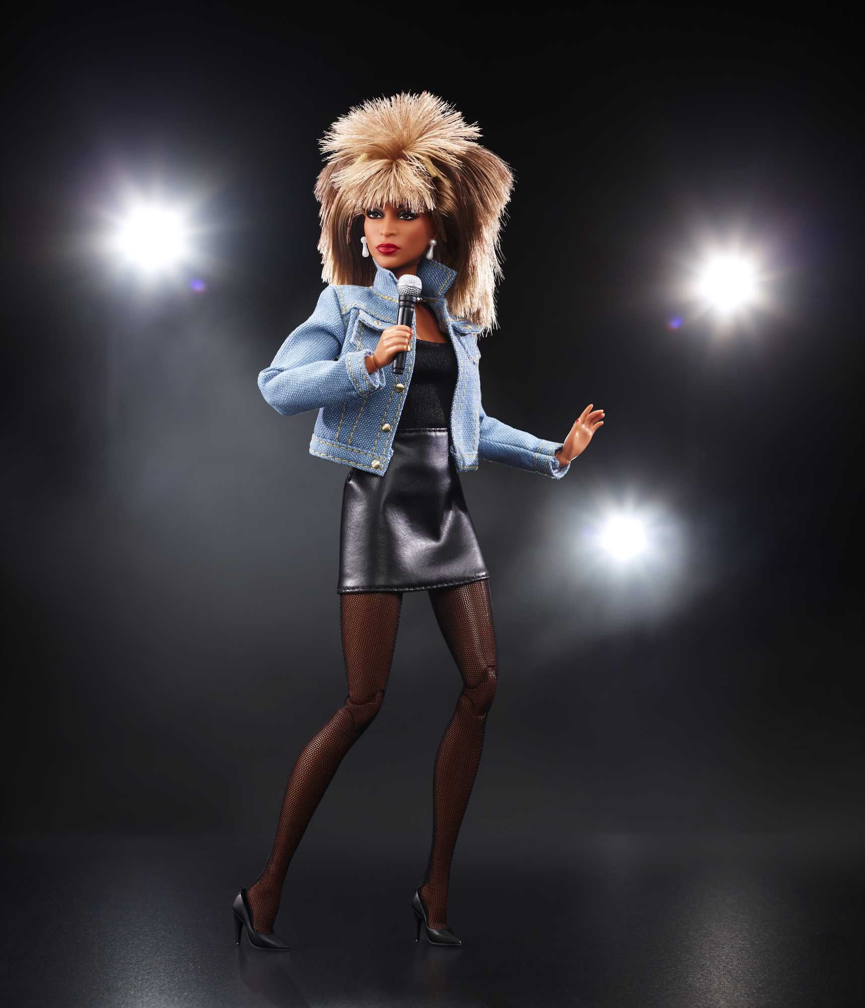 Barbie Signature Tina Turner Barbie Doll in ‘90s Fashion, Gift for Collectors