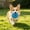 M, variant on Plush Donut Squeaky Dog & Cat Chew Toy, Soft Stuffed Donut Pet Toy, Interactive Squeaker Teething Toy for Puppies and Kittens to Play, Chew and Relieve Boredom Blue