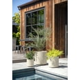 thumbnail image 5 of Veradek Demi Series Bundle - Three Piece Set of Plastic-Stone Planters - Sand, 5 of 10