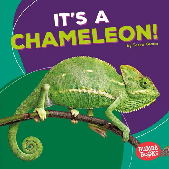 Bumba Books (R) -- Rain Forest Animals: It's a Chameleon! (Hardcover)