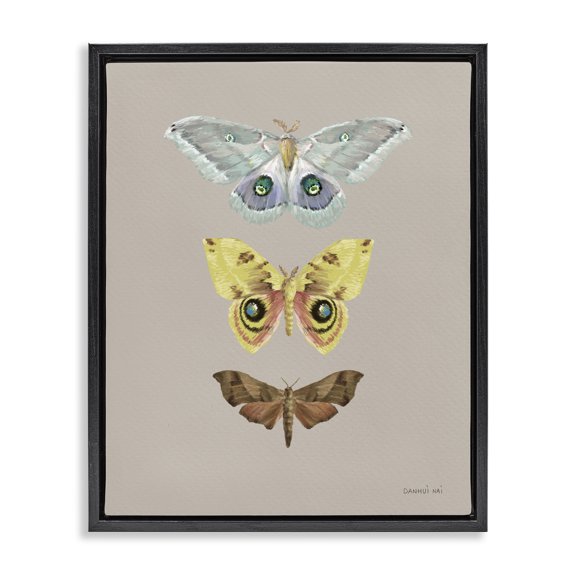 Stupell Industries Minimalist Vintage Moth Species Black Floating Frame Canvas Art, 17 x 21, by Danhui Nai