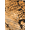 Python Sun, variant on Sizzling Snake Ladies Hi Fashion Designer 90210 Face Mask