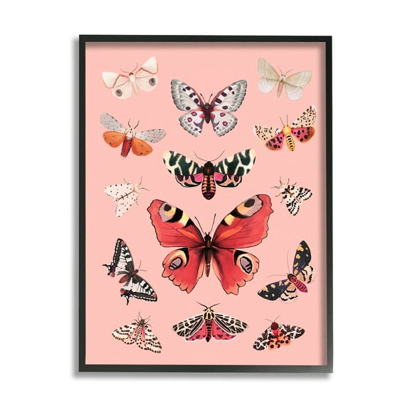 Stupell Industries Various Moths on Pink Animals & Insects Painting Black Framed Art Print Wall Art, 11 x 14