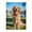500 Pieces, variant on 1000-Piece Wooden Jigsaw Puzzle for Adults - Golden Retriever Dog Grass Lake , Interlocking Pieces with Guide Letters, Holiday Gift & Home Decor