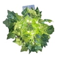thumbnail image 1 of 1PC LED Fairy Lights Ivy Artificial Fairy Lights with Leaves Light Battery, 1 of 4