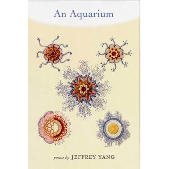 Pre-Owned An Aquarium (Paperback) 1555975135 9781555975135