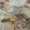 Wheat, variant on Addison Rugs Mayfield Premium Machine Washable Transitional Floral Wheat Rectangle Rug, 10' x 14'
