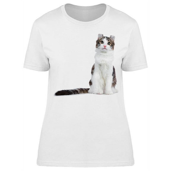 Kitten Sitting Straight T-Shirt Women -Image by Shutterstock, Female XX-Large