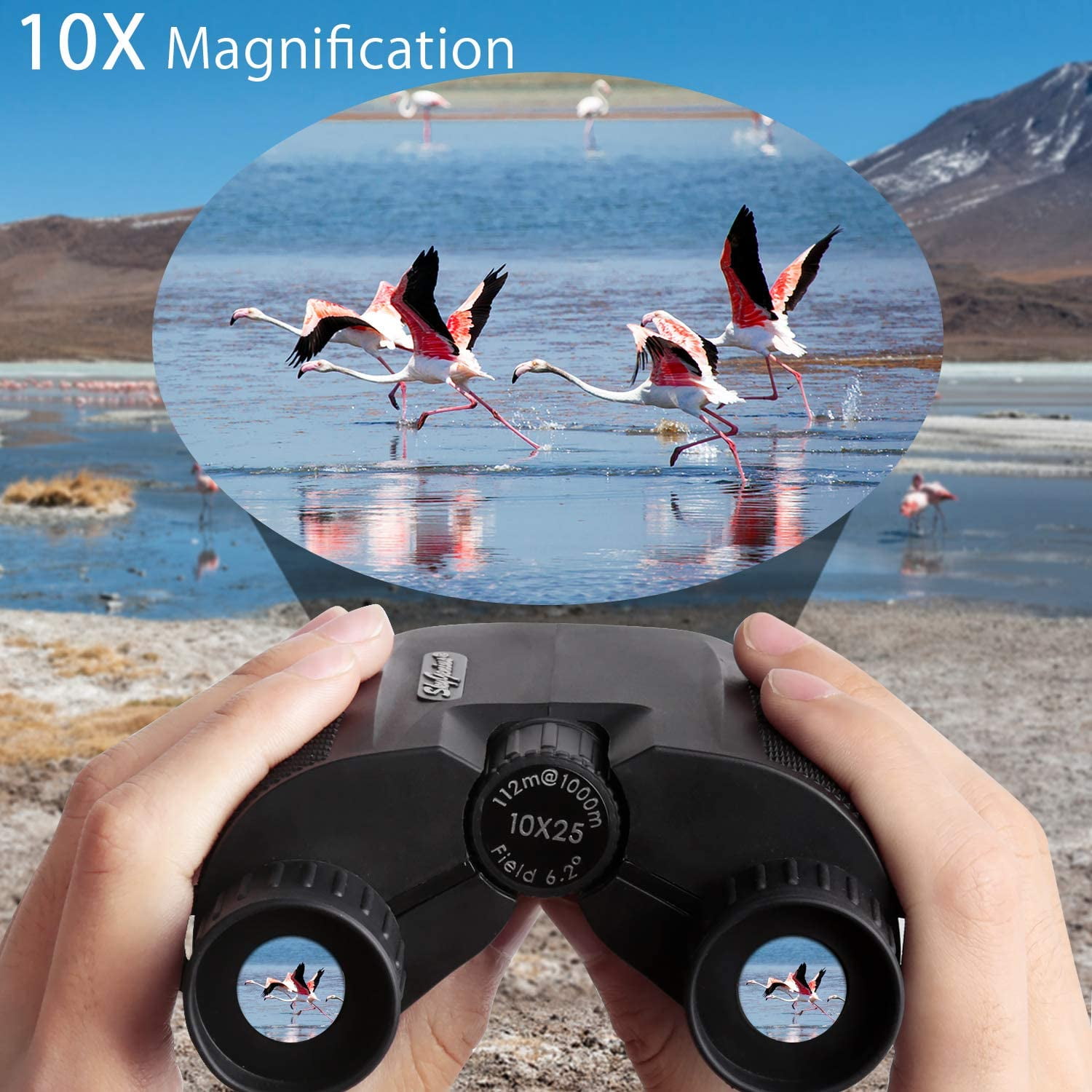 SkyGenius 10x25 Binoculars BAK4 Roof Prism for Adults Kids Bird Watching Travel Camping