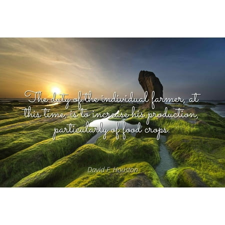 David F. Houston - The duty of the individual farmer, at this time, is to increase his production, particularly of food crops - Famous Quotes Laminated POSTER PRINT (Best Persian Food In Houston)