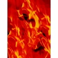 thumbnail image 7 of Disney The Lion King Scar Hyenas Mens Male Boxer Lounge Shorts LN024MBX, 7 of 7