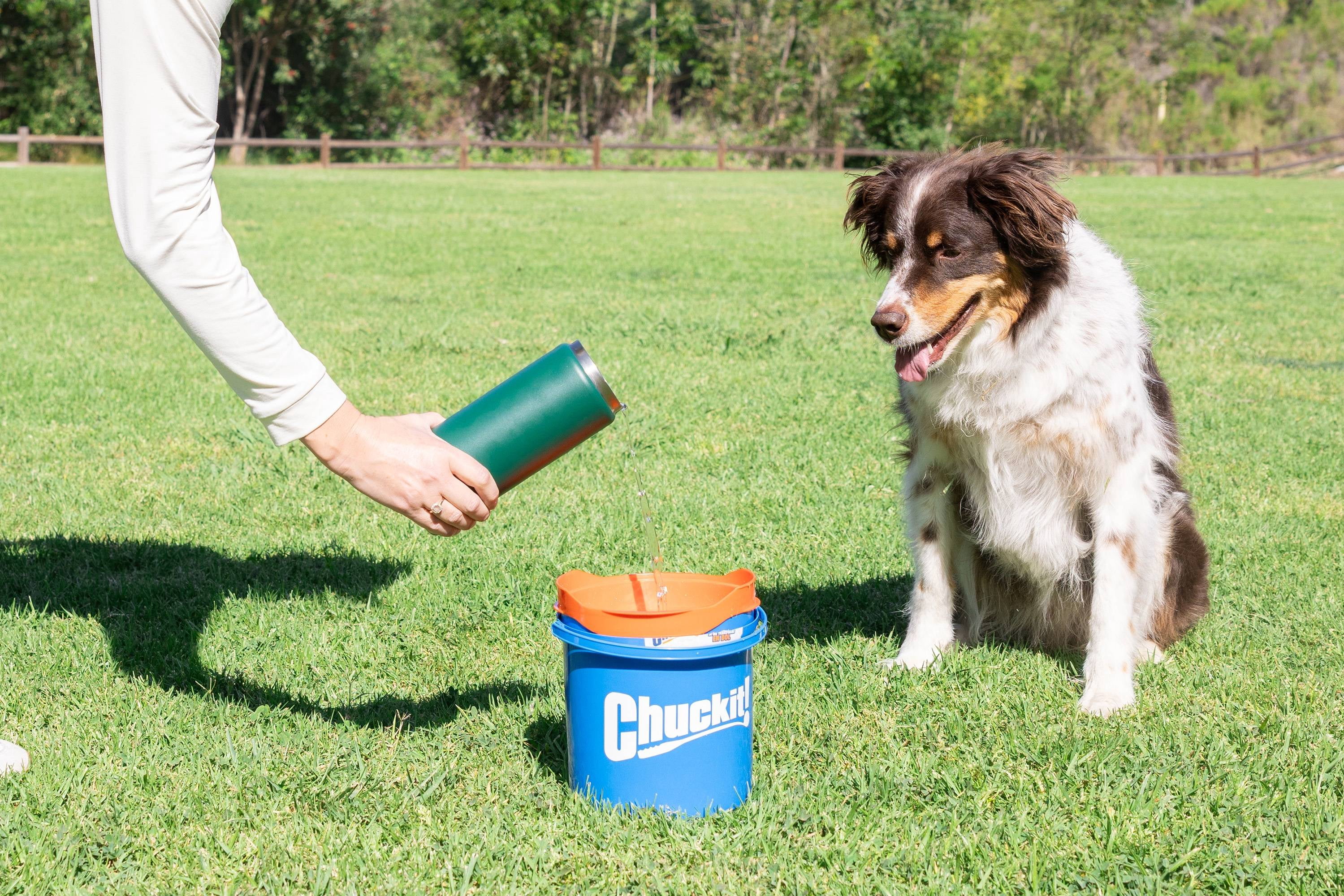 Chuckit! Bucket with Tennis Dog Balls Fetch Toy for Dogs, Comes with 8-Pack Medium 2.5" Tennis Balls for Easy Carry and Clean