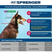 Coastal Pet Products Herm. Sprenger Ultra-Plus Prong Dog Training Collar 2.25mm Silver