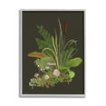 thumbnail image 5 of Stupell Industries Natural Forest Floor Botanical Arrangement Mixed Mushrooms Ferns Graphic Art Gray Framed Art Print Wall Art, Design by House of Rose, 5 of 5