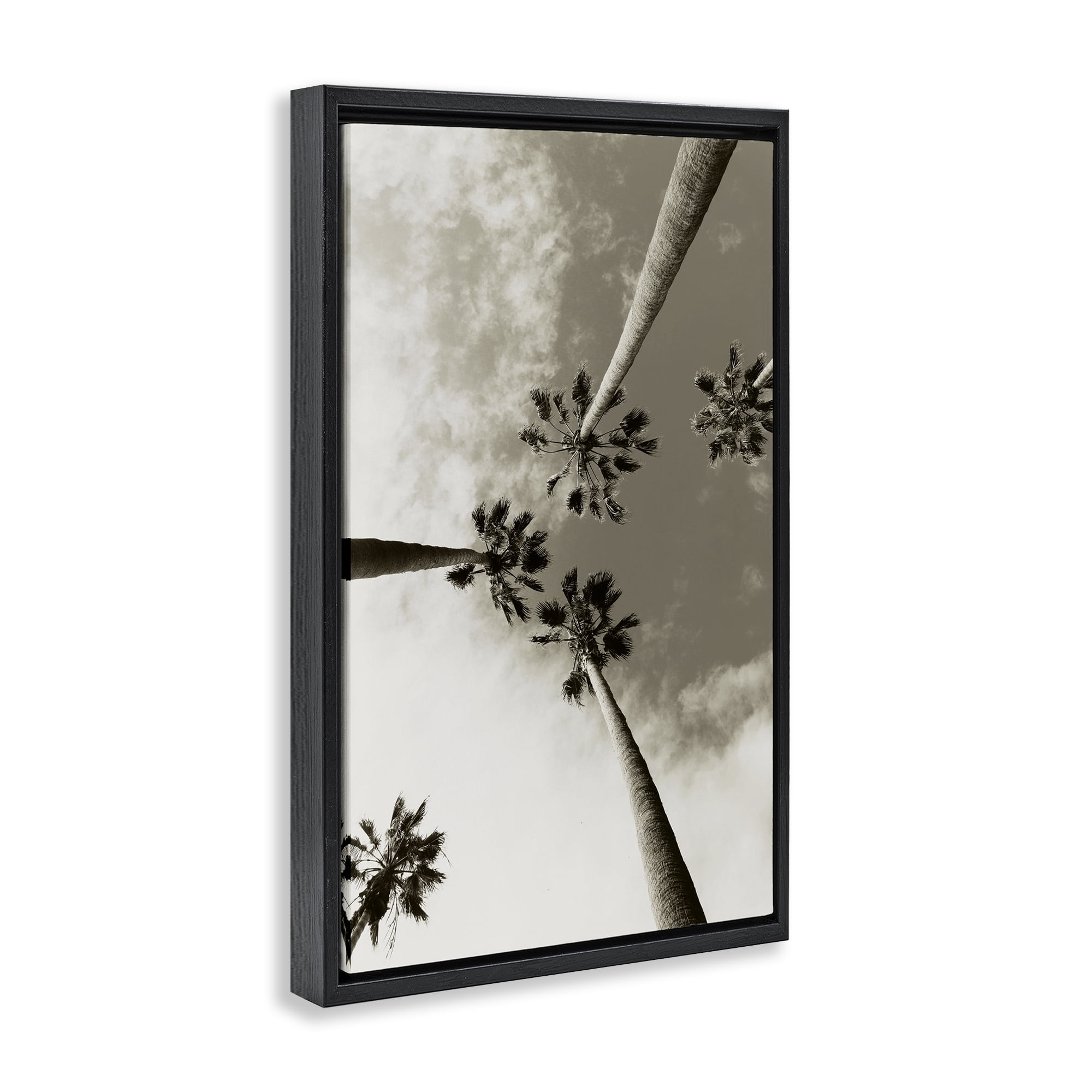 Stupell Industries Centric Palm Trees Botanical & Floral Photography Black Floater Framed Canvas Art Print Wall Art, 17 x 25