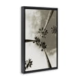 thumbnail image 3 of Stupell Industries Coastal Centric Palm Trees Black Floating Frame Canvas Art, 17 x 25, by Wil Stewart, 3 of 8