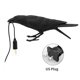 thumbnail image 1 of Aplique de pared para el hogar, resina, pájaro, lámpara de pared, sala de estar, lámpara de enchufe E14, pájaro sentado, negro, enchufe de EE. UU., Luz de escritorio Inevent HA003392-15B, 1 of 2
