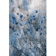 thumbnail image 2 of Devos, Delphine 13x18 Gold Ornate Wood Framed with Double Matting Museum Art Print Titled - Blue Flowers, 2 of 4