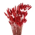 thumbnail image 1 of Uxcell 100pcs Natural Dried Pampas Rabbit Bunny Tails Dried Flowers 18" Mini Pampas Grass Lagurus Ovatus Bunch for Home Decor, 1 of 6