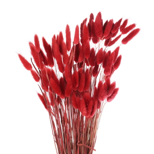 Uxcell 100pcs Natural Dried Pampas Rabbit Bunny Tails Dried Flowers 18" Mini Pampas Grass Lagurus Ovatus Bunch for Home Decor