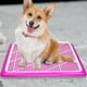 thumbnail image 2 of Inodoro para Mascotas, Orinal para Perros Y Gatos, Soporte para Almohadilla de Entrenamiento de Malla Pequeña, Protección Lavable para Superficies de Rosado, 2 of 5