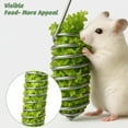 thumbnail image 3 of 2Pcs Rat Enrichment Toys Stainless Steel Rat Foraging Toy Bird Cage Food Holder for Fruit Vegetable Holder Fancy Mice Cage Accessories Puzzle Toy Hanging Rodent Toy Slow Feeder Parakeet Foraging, 3 of 7