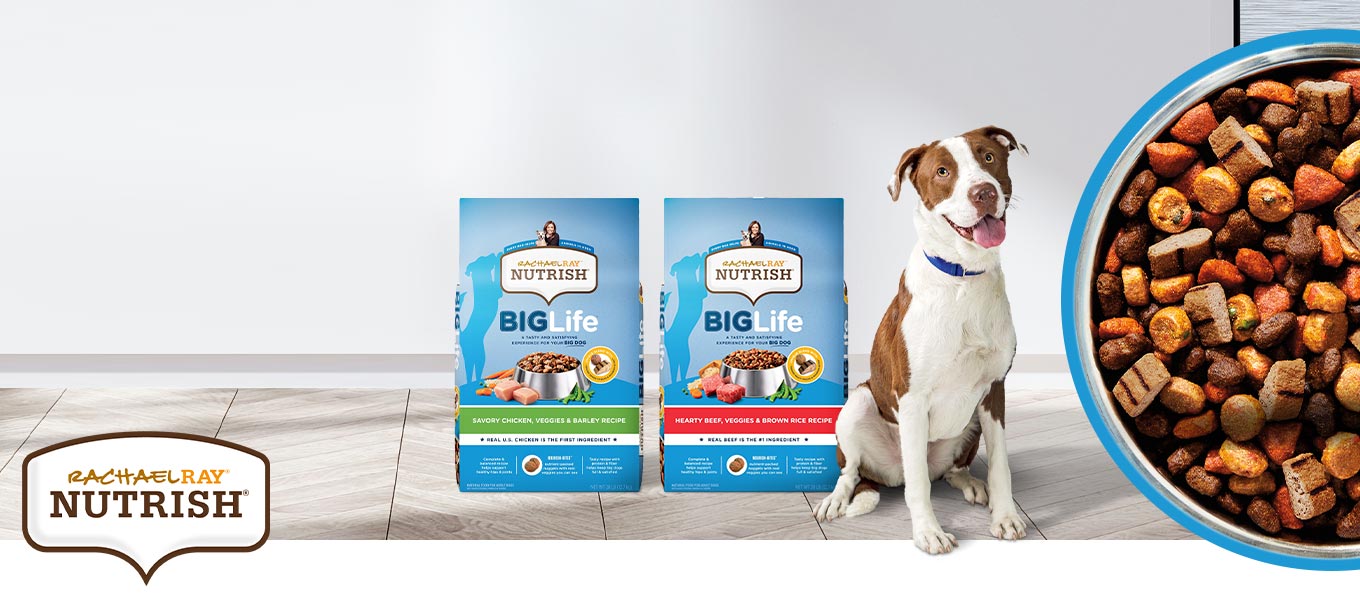 rachael ray puppy dog food walmart