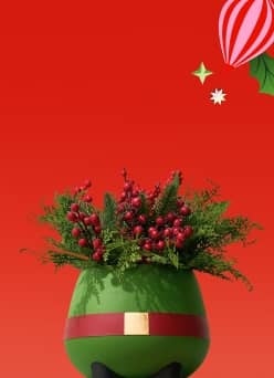 View a plant in a pot that looks like an elf with a belt on.