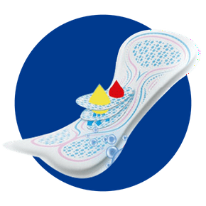 Toallas y pantiprotectores