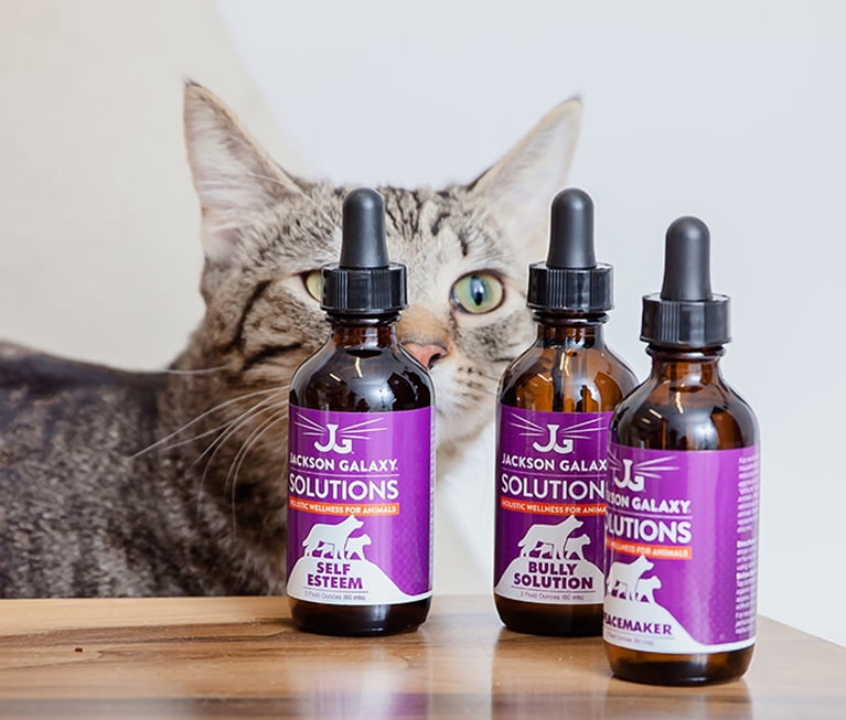 jackson galaxy probiotics