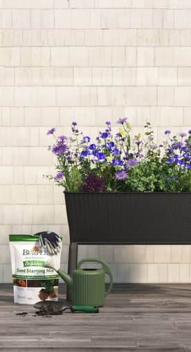 An elevated planter full of purple flowers on a deck. A bag of Burpee seed starting mix next to a watering can and a dirty gardening trowel.