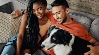 Nationwide pet supplies deals