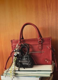 A red bag with purse charms is on top of a stack of books in front of wood-paneled wall.
