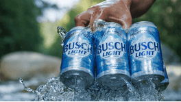 Busch - Walmart.com