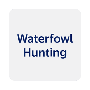 Waterfowl Hunting