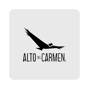 Alto del Carmen en Lider.cl