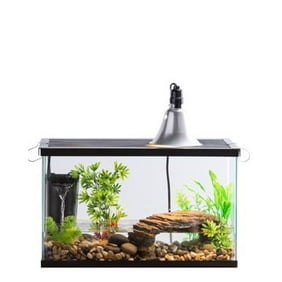 Reptiles Walmart Com Walmart Com