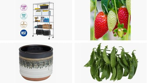 Indoor Gardening