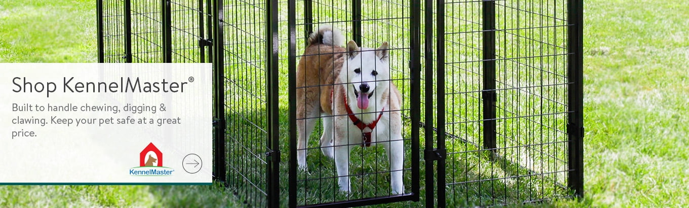pet kennels near me