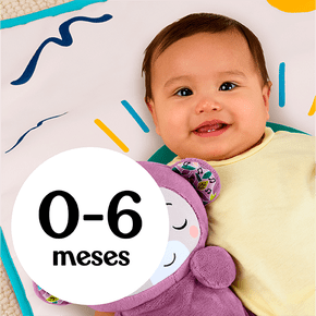 0-6 meses