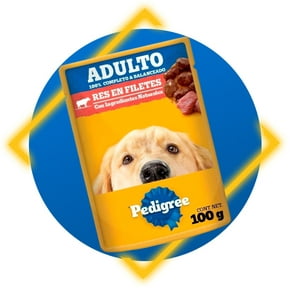 Mascotas
