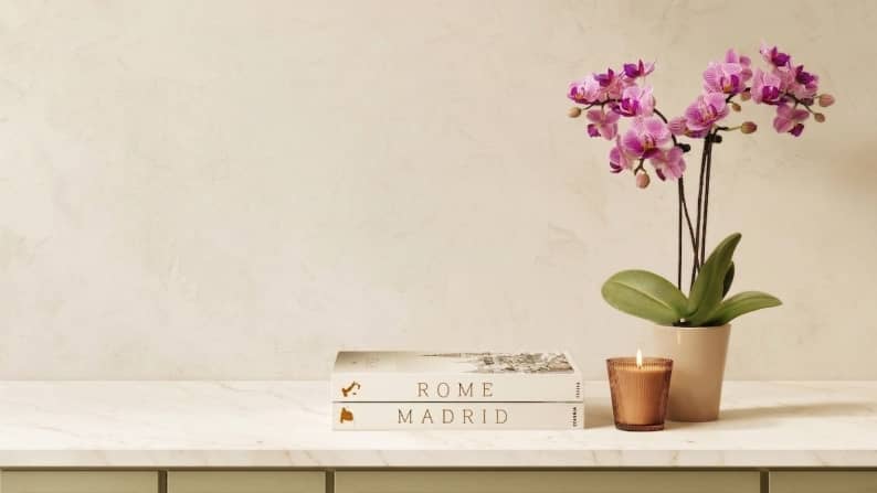 An orchid in a ceramic pot next to coffee table books and a candle.