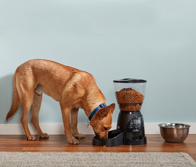 Dog Tech Walmart Com Walmart Com