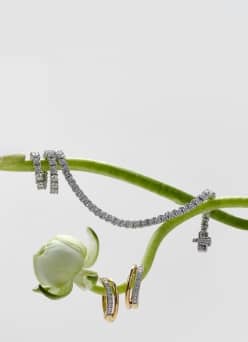 A pair of gold earrings and a silver necklace are draped over the stems of white flowers.