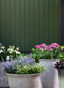 Large gray stone planters full of blue, purple, and white flowers on a patio.