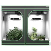 Grow Tents & Accessories